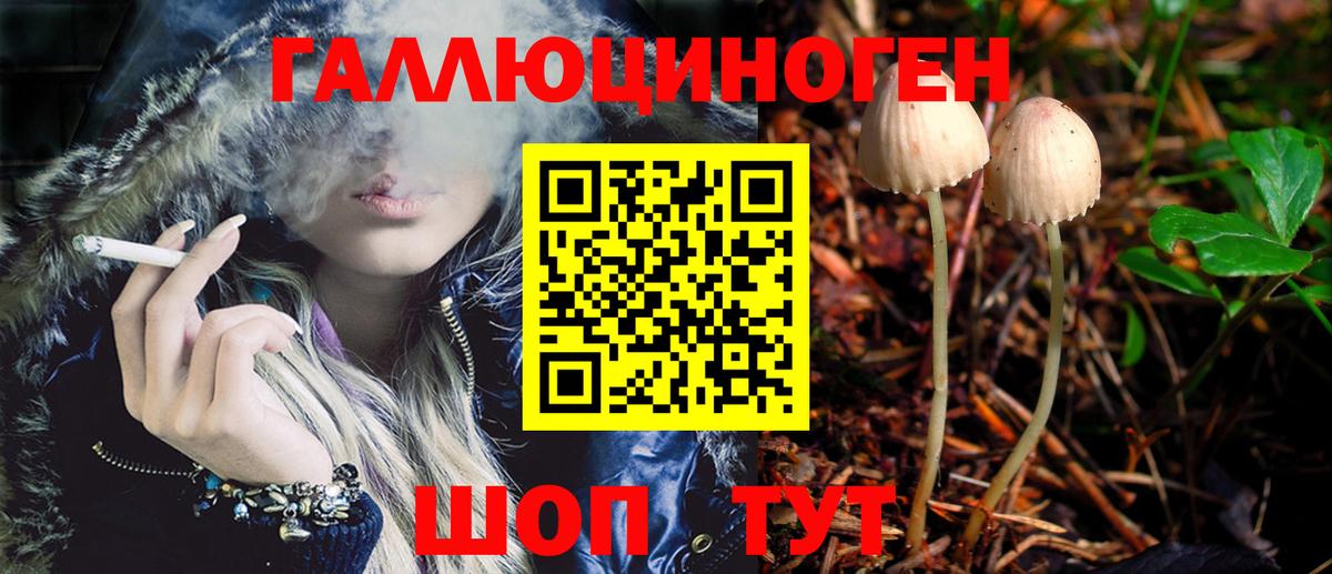 Галлюциногенные грибы GOLDEN TEACHER  Вход с VPN  Кстово 